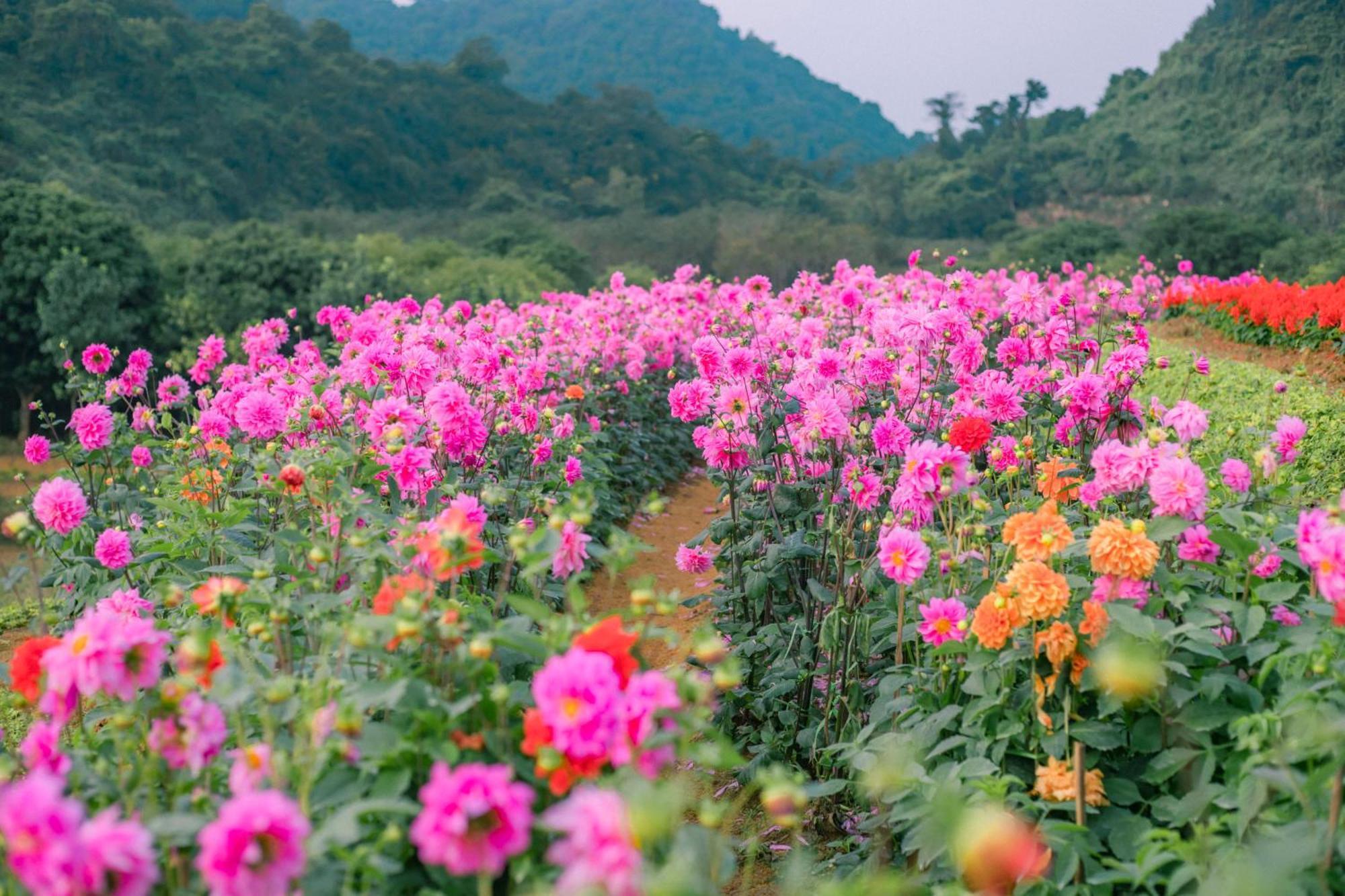 Thung Nham Resort نينه بينه المظهر الخارجي الصورة