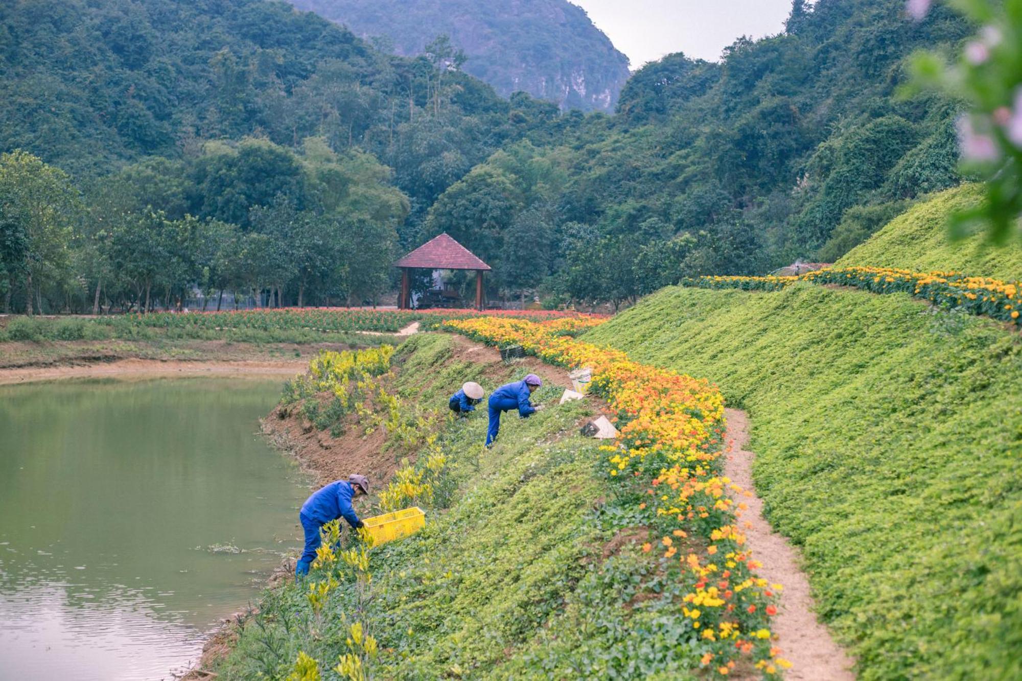 Thung Nham Resort نينه بينه المظهر الخارجي الصورة