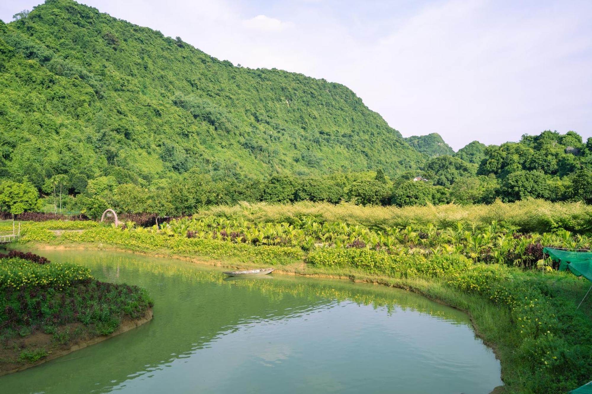 Thung Nham Resort نينه بينه المظهر الخارجي الصورة
